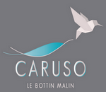 Caruso33 - Le bottin malin
